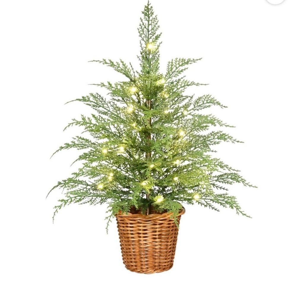 New! My Texas House 24"Pre-Lit Green Cypress Artificial Christmas Tree, In Hand